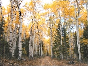 South Snake Valley